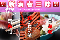 【送料無料】新湊春三昧(ホタルイカ、白エビ、カニ身抜き)