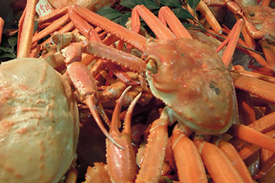 【送料無料】天然紅ズワイガニ2.0kg Mサイズ 4〜6杯